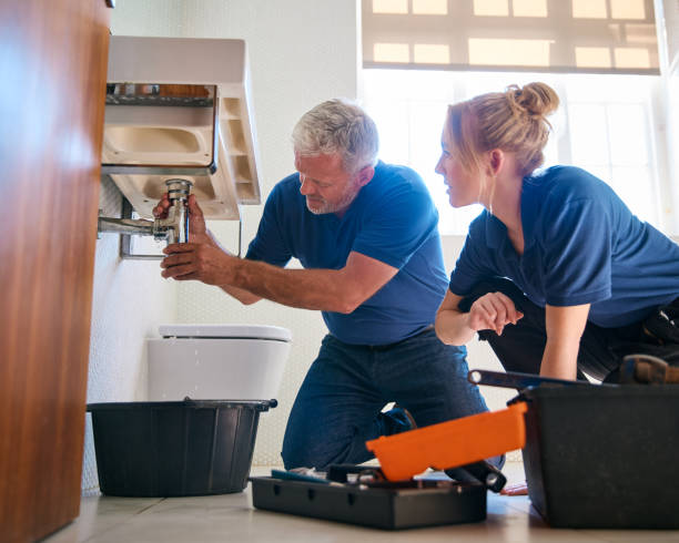 Best Affordable Plumber Near Me  in Pistakee Highlands, IL